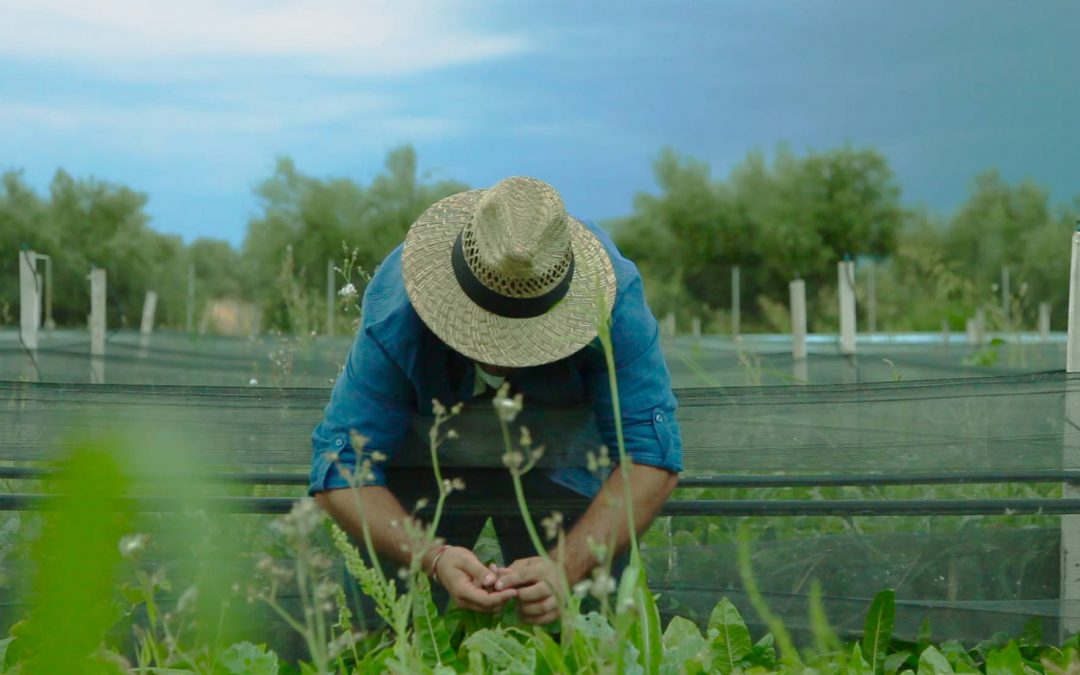 Una aplicación conecta agricultores locales de toda Europa para fomentar un cultivo sostenible